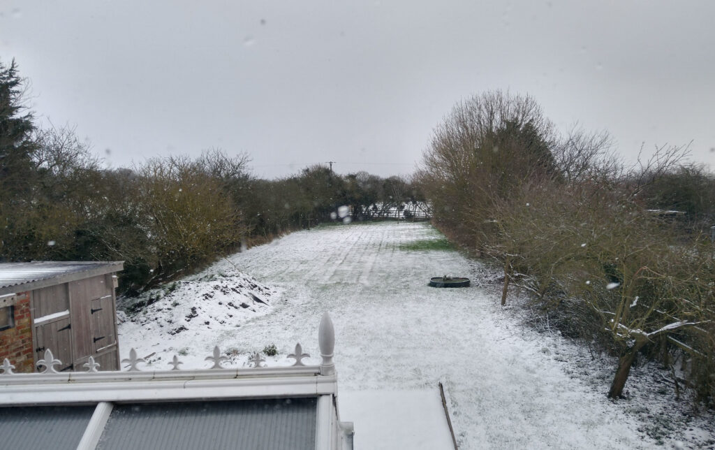 Snow Snow
