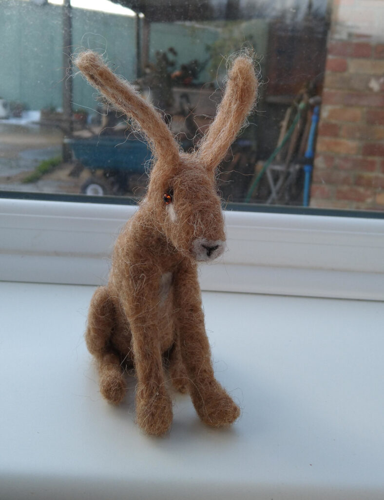 Hoppity Hare Hoppity Hare