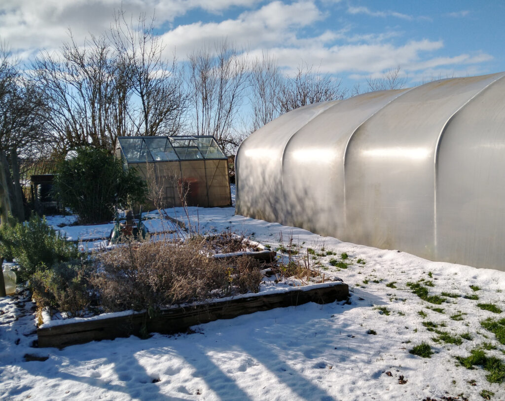 Snow Snow