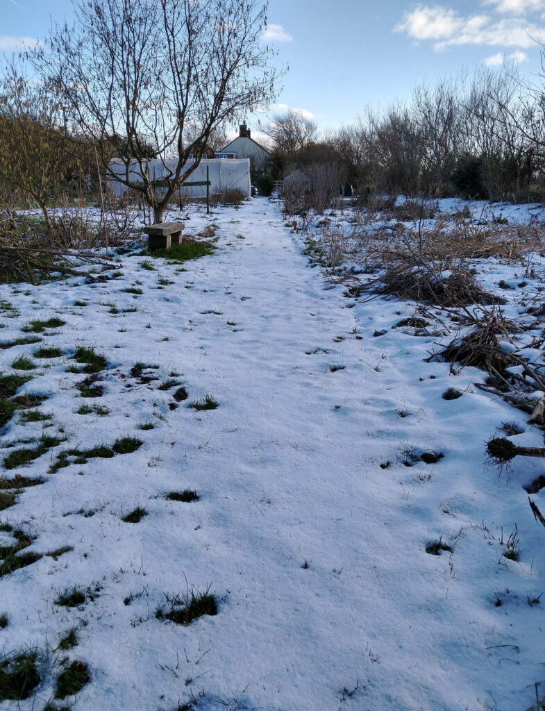 Snow Snow