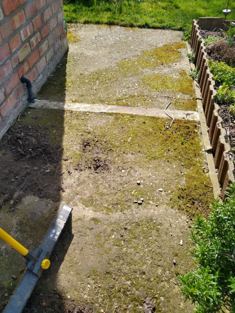 Path before treatment