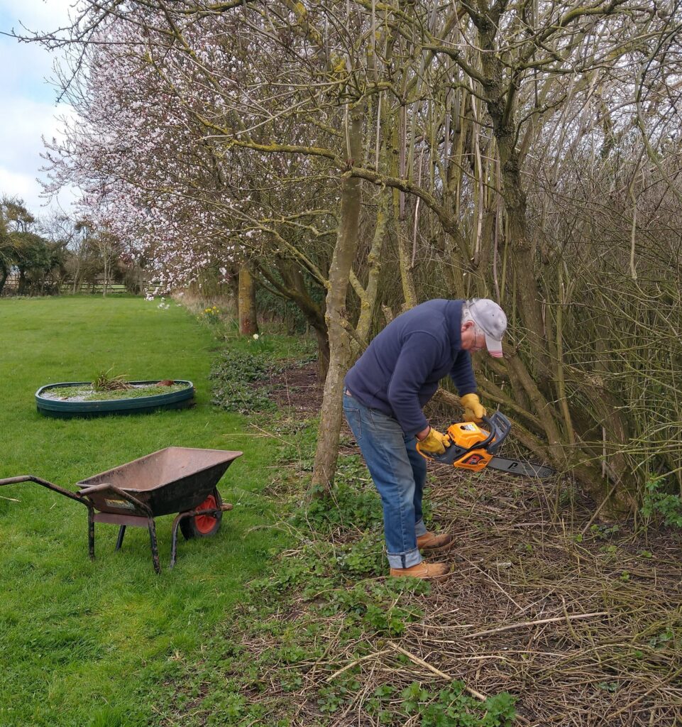 Tree surgeon at work