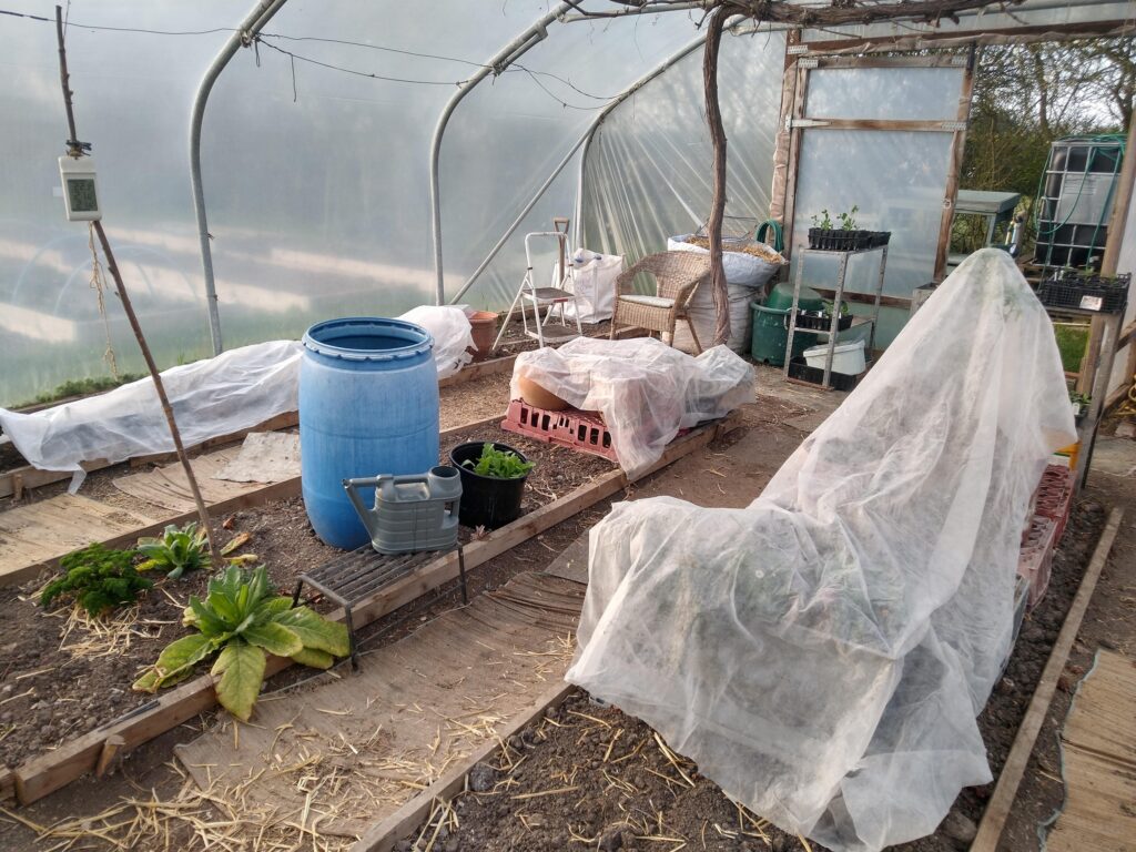 Tender plants in their jim-jams