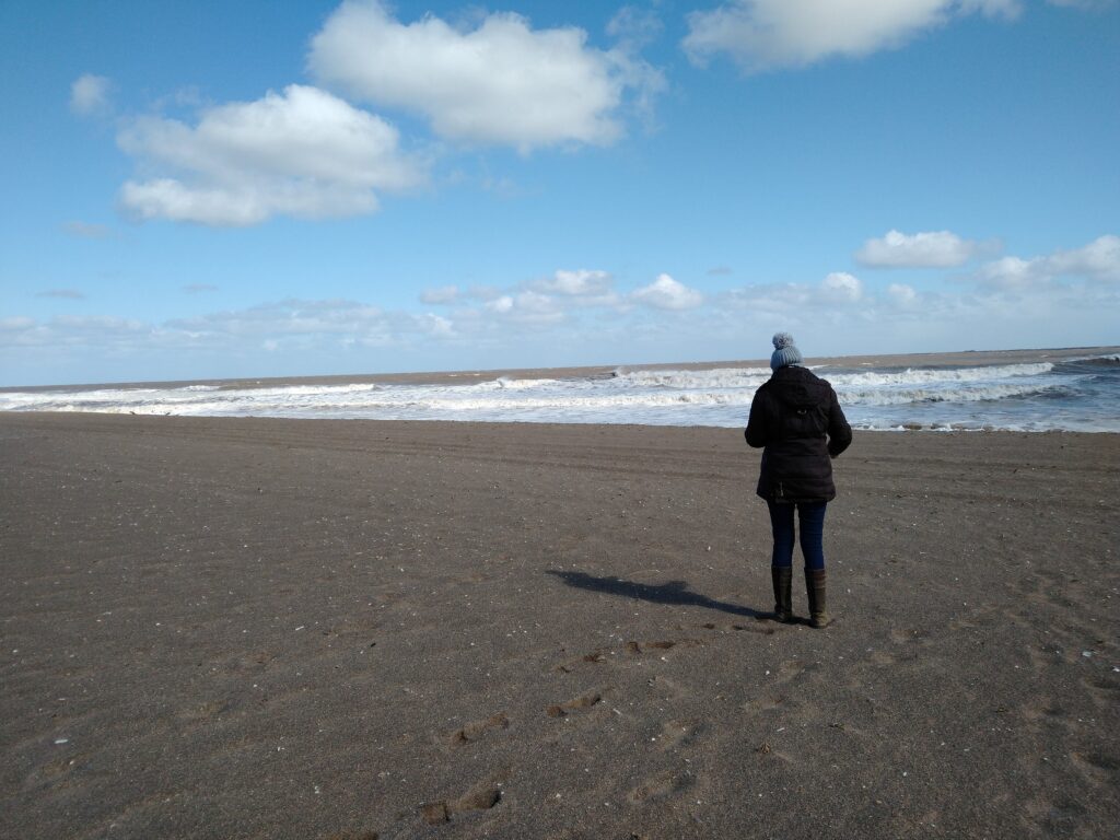 Shell hunter