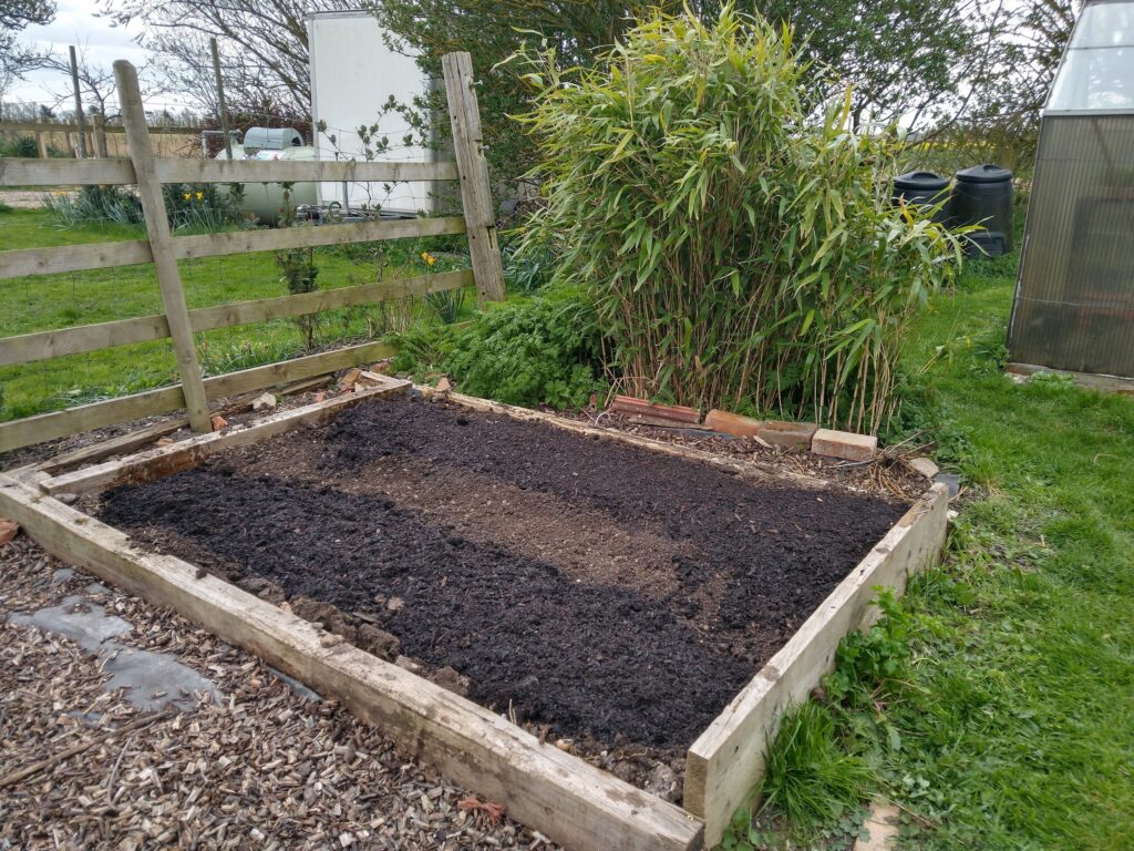 Asparagus bed