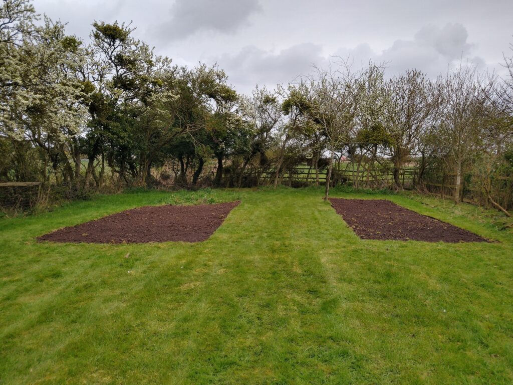 Wildflower seed patches