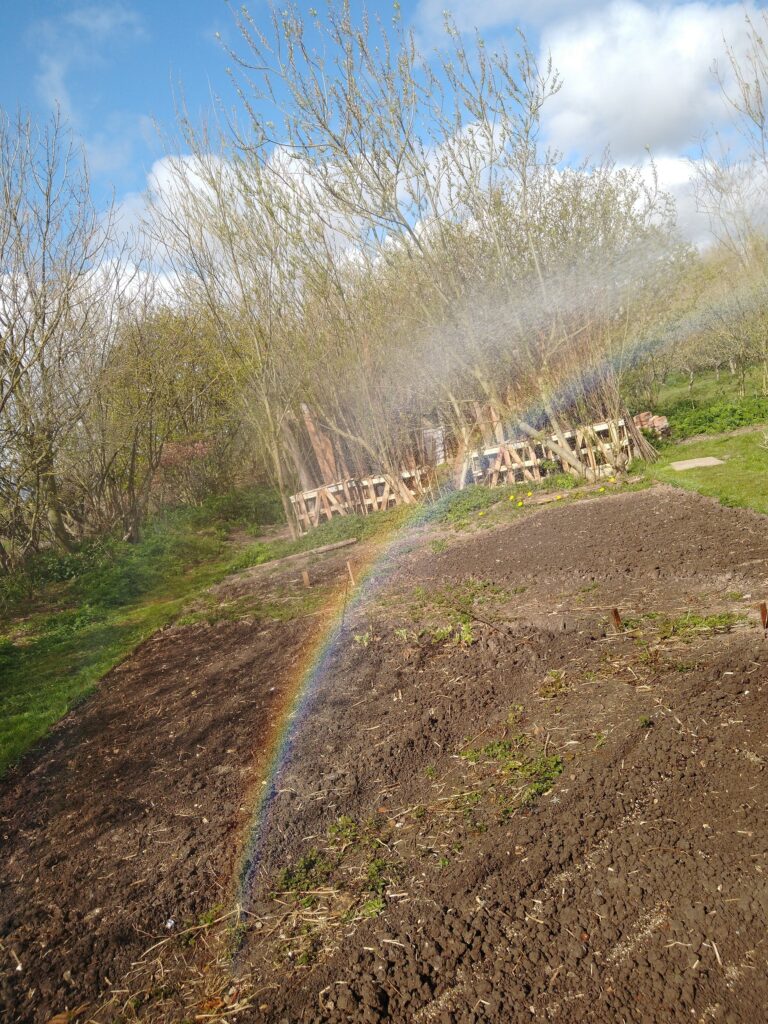 Rainbow