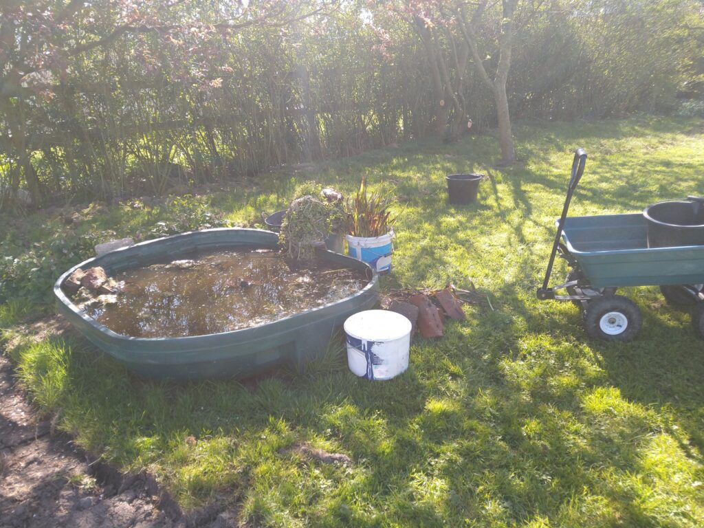 Clearing the old pond