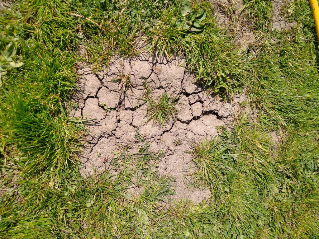 Drought