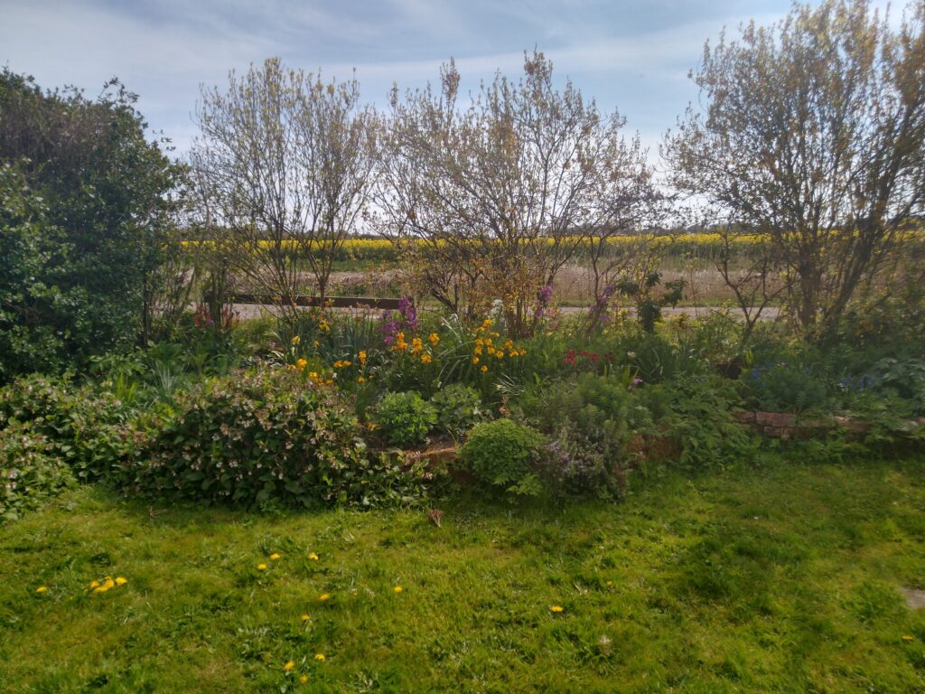 Front garden