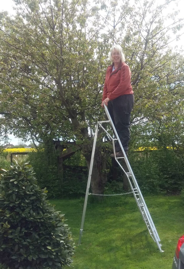 New ladder