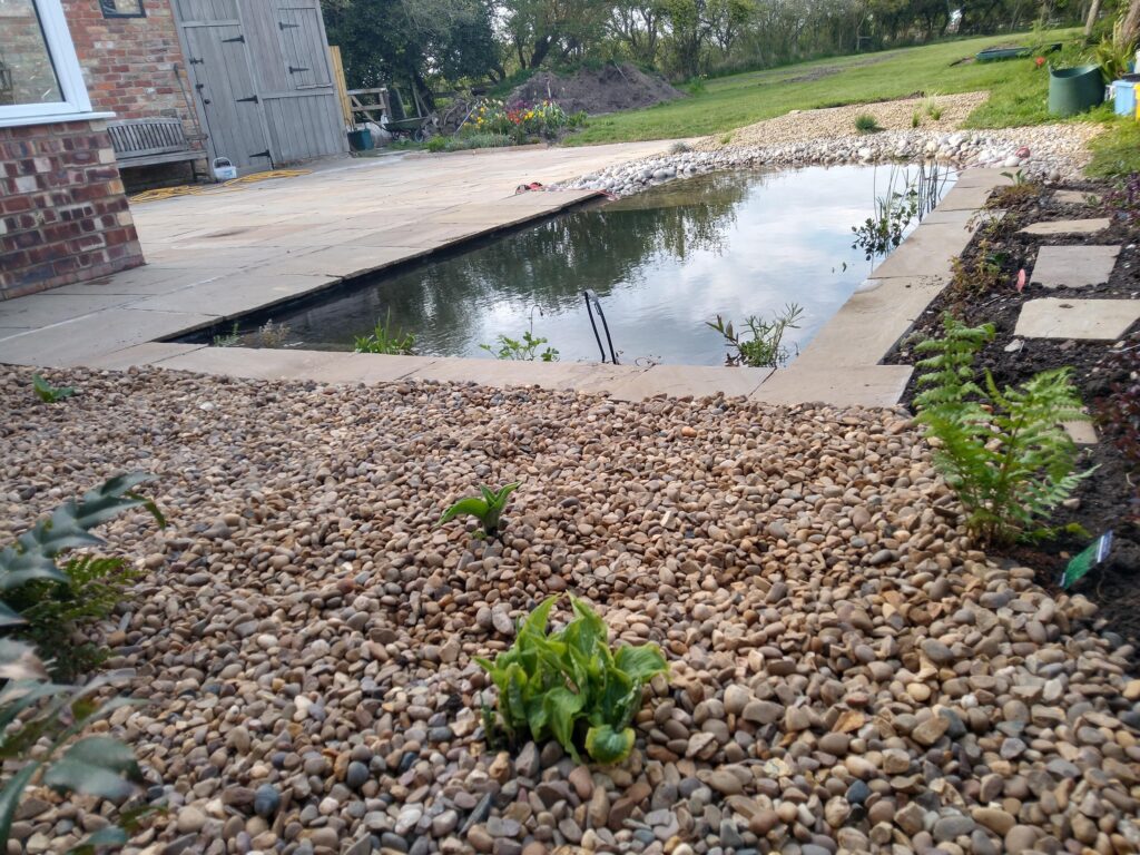 Pond progress