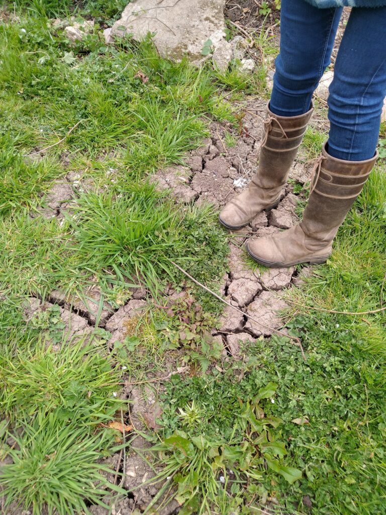 Dry soil