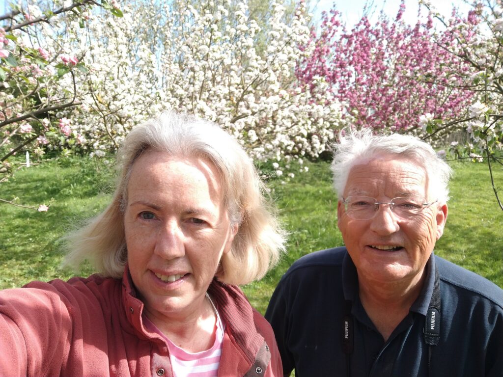 Apple blossom