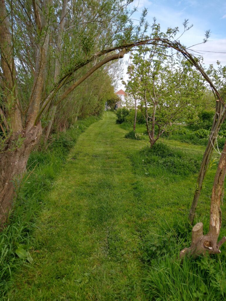 Shades of green under the arch