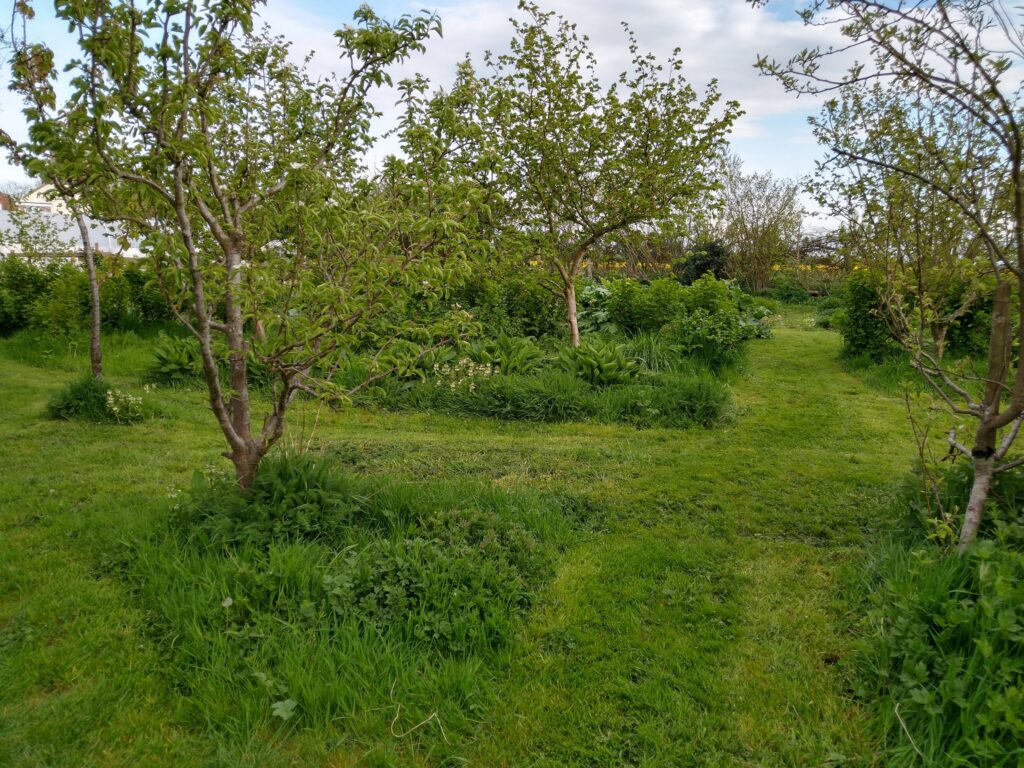 Shades of green