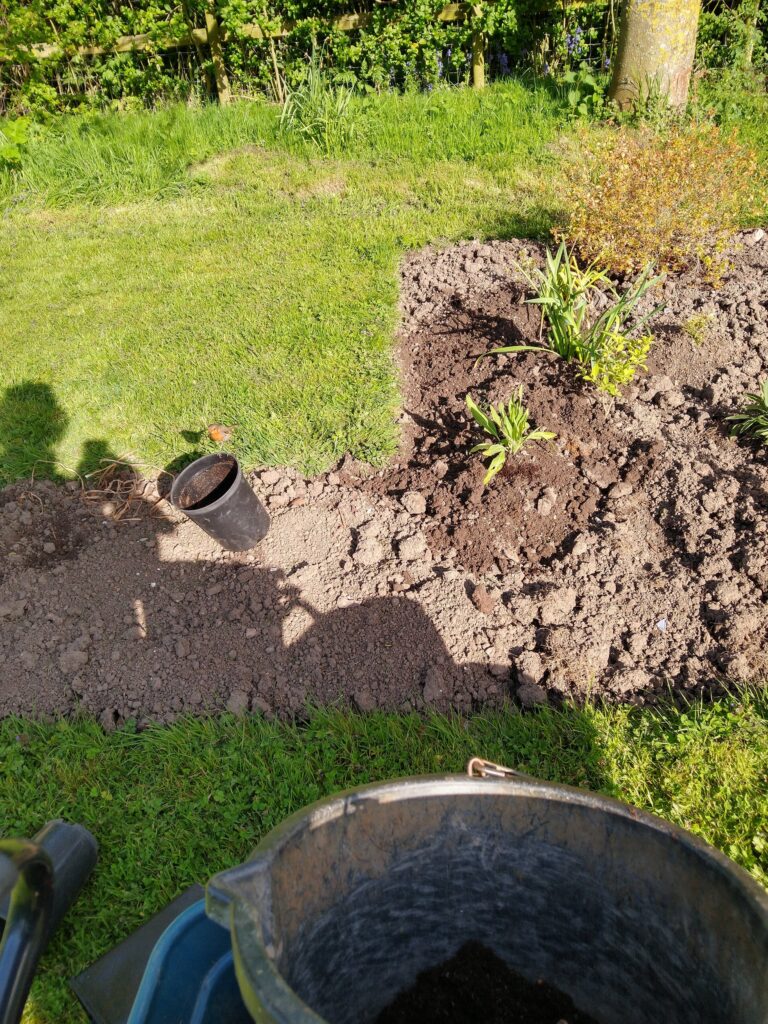 Planting