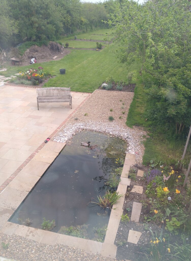 Arial view