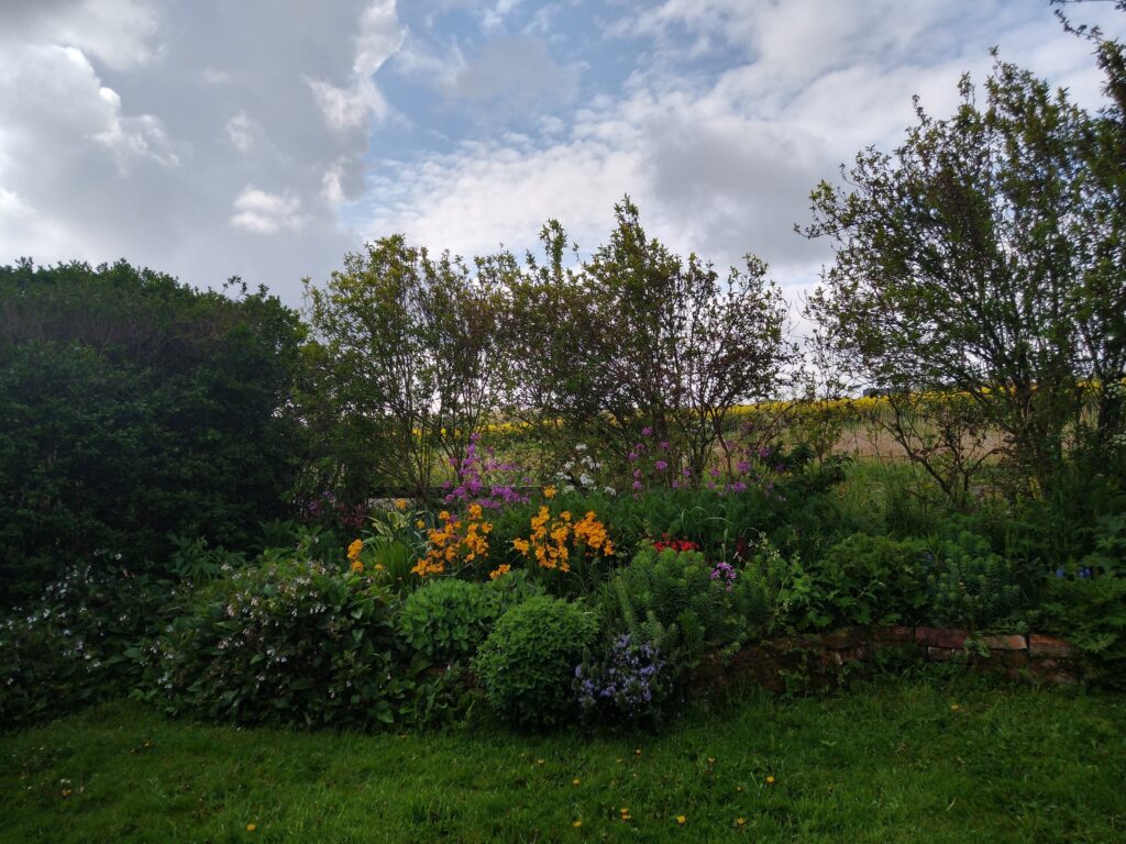 Front garden