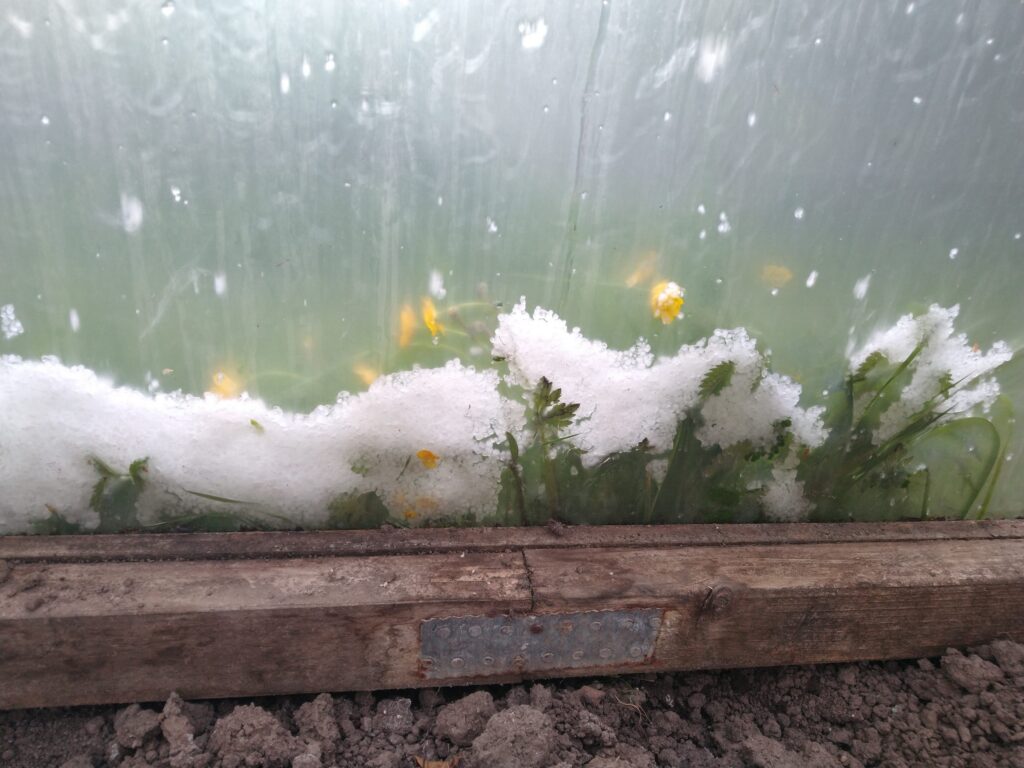 Hail