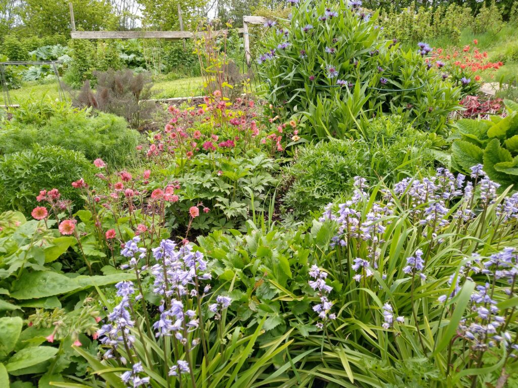Spring colour