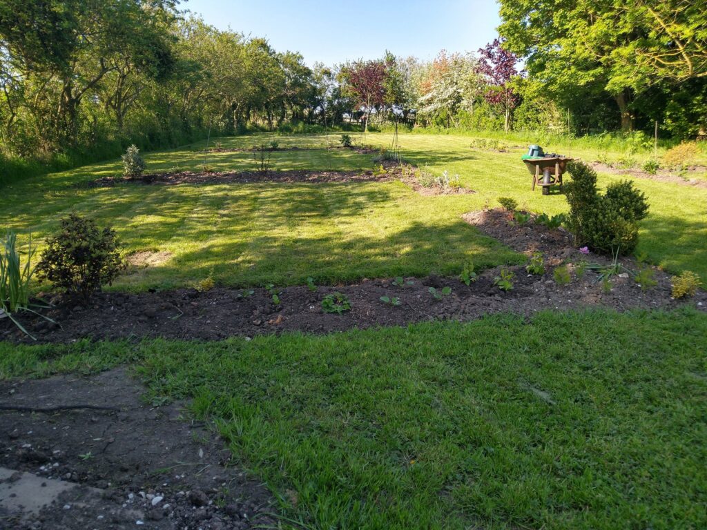 Beds planted up