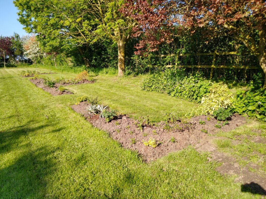Beds planted