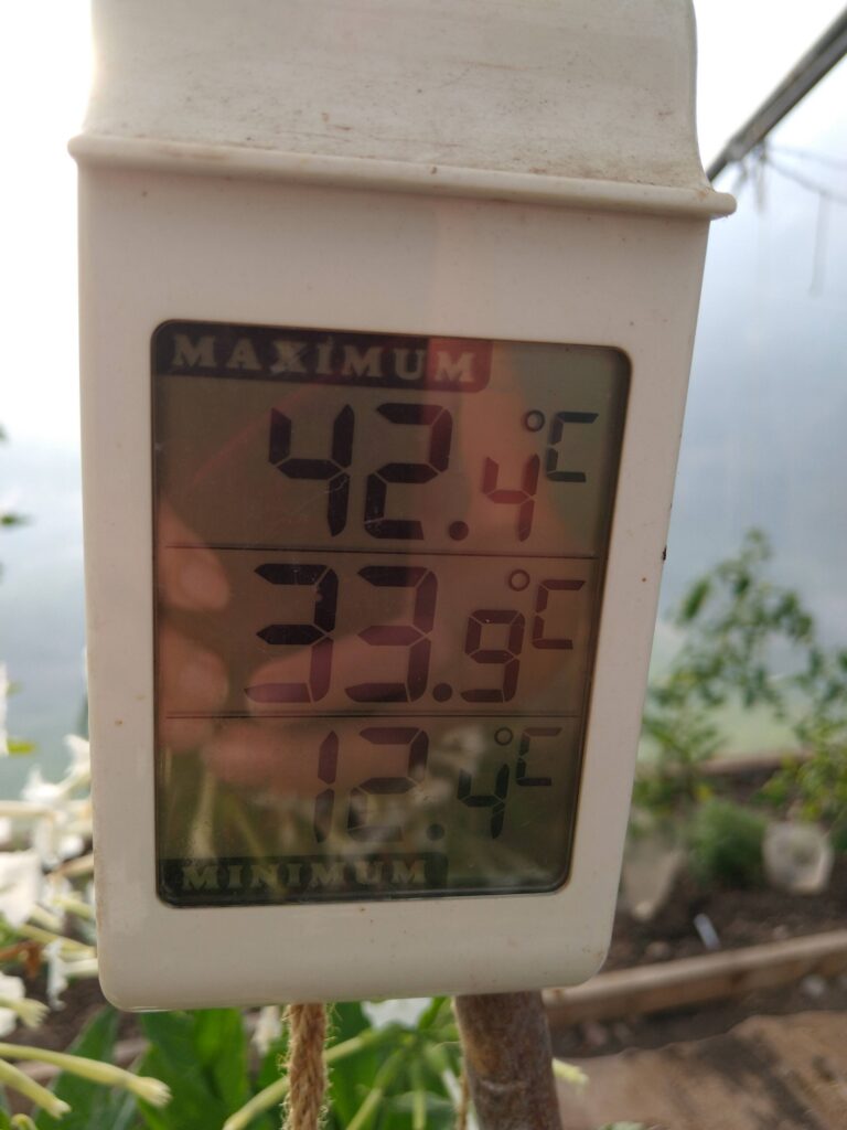 Hot