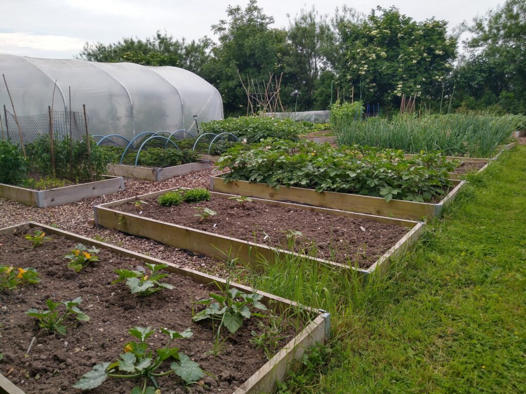 Veg beds