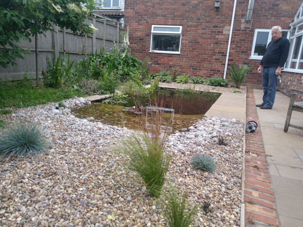 Pond