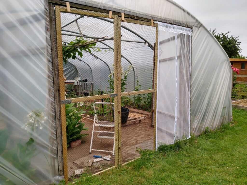 Bird screens on polytunnel