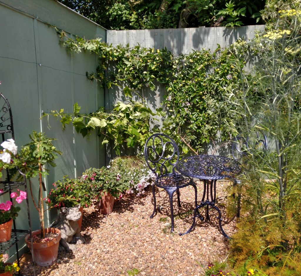 mediterranean corner