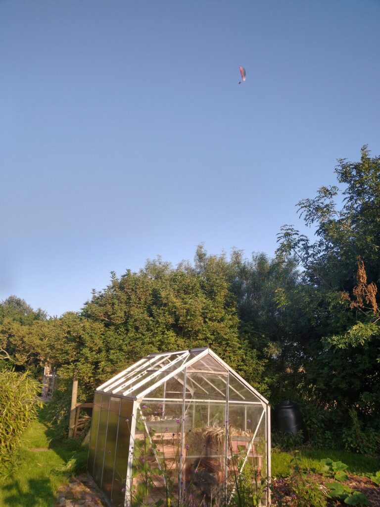 Greenhouse