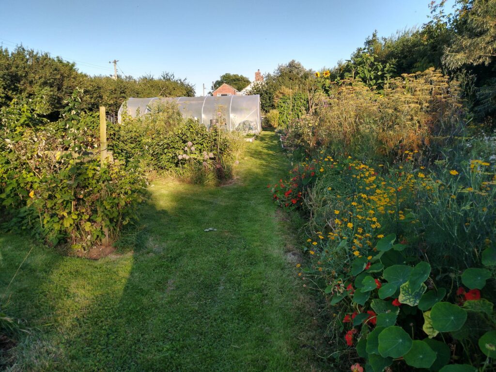 Viiw down veg garden