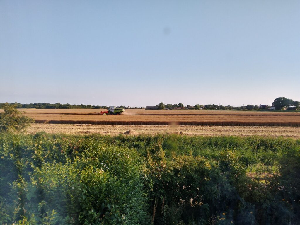 Proper harvesting