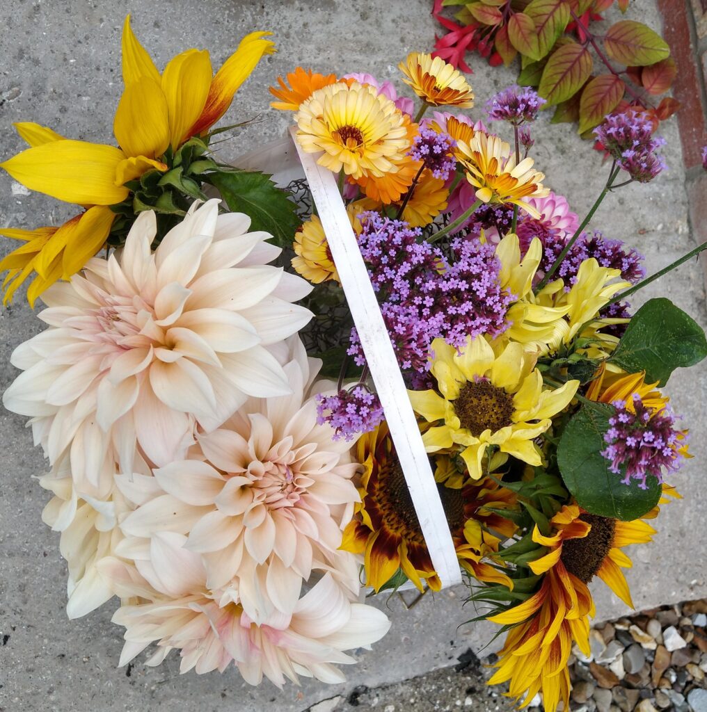 Cut flowers