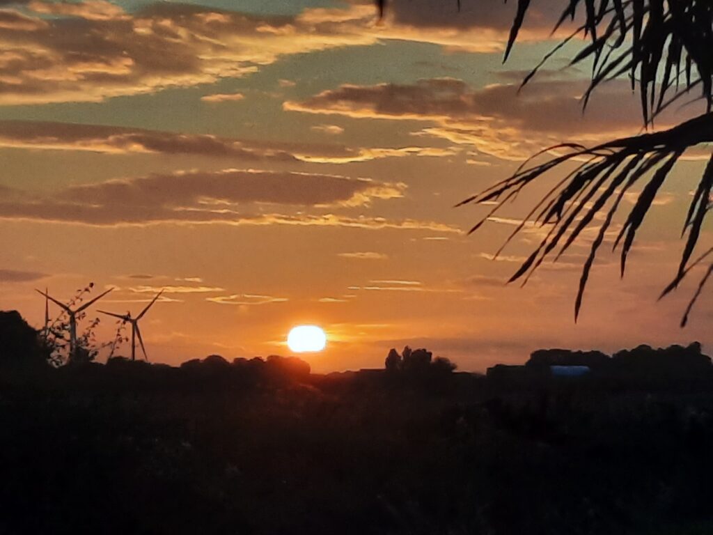 Tropical sunset