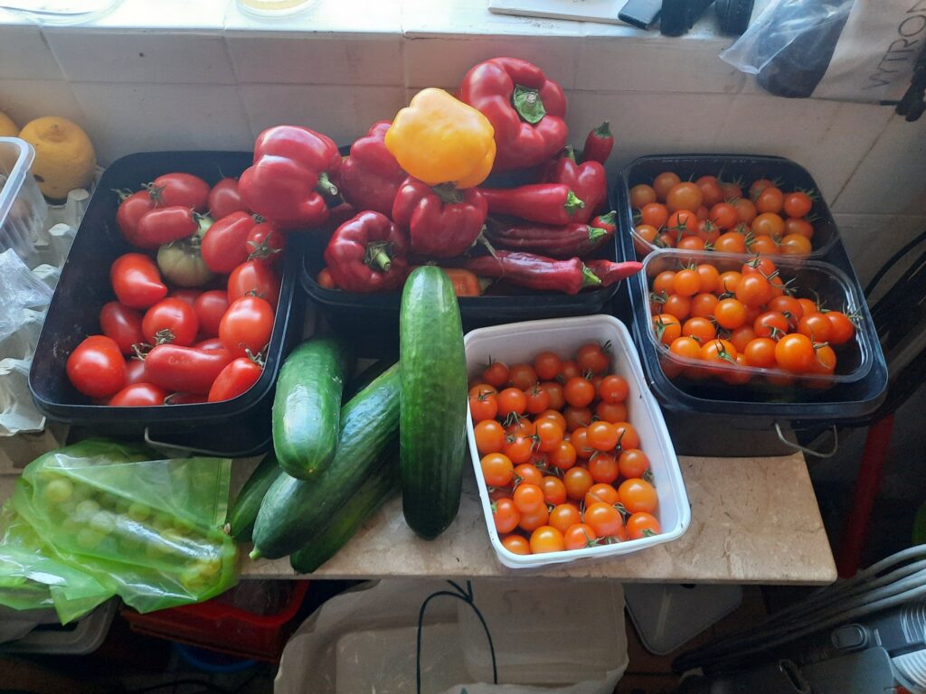 End of September harvest