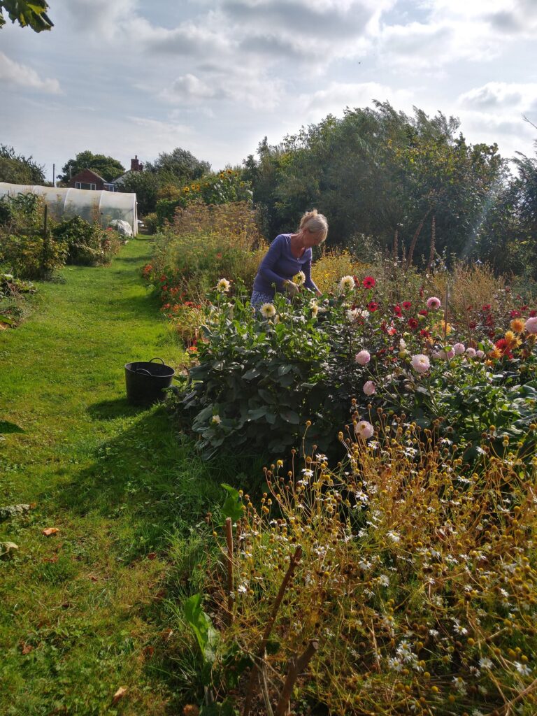 Flower picker