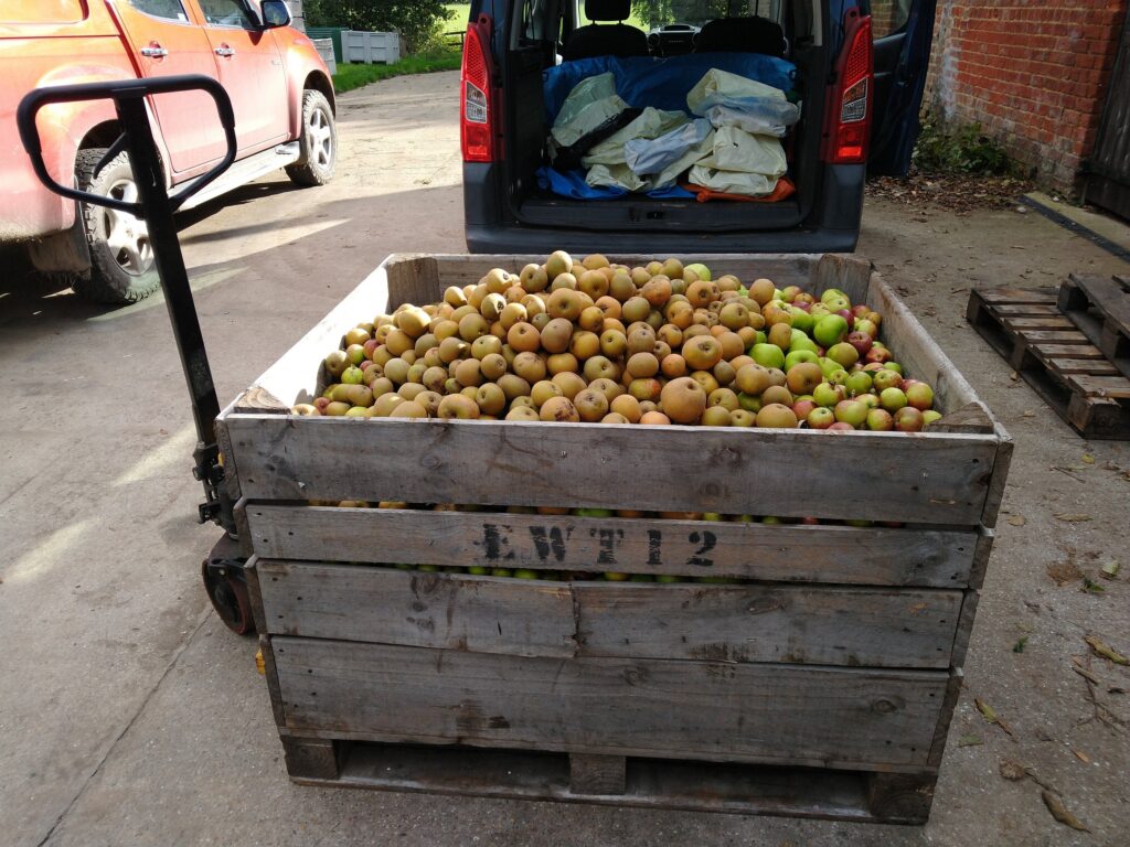 apple box