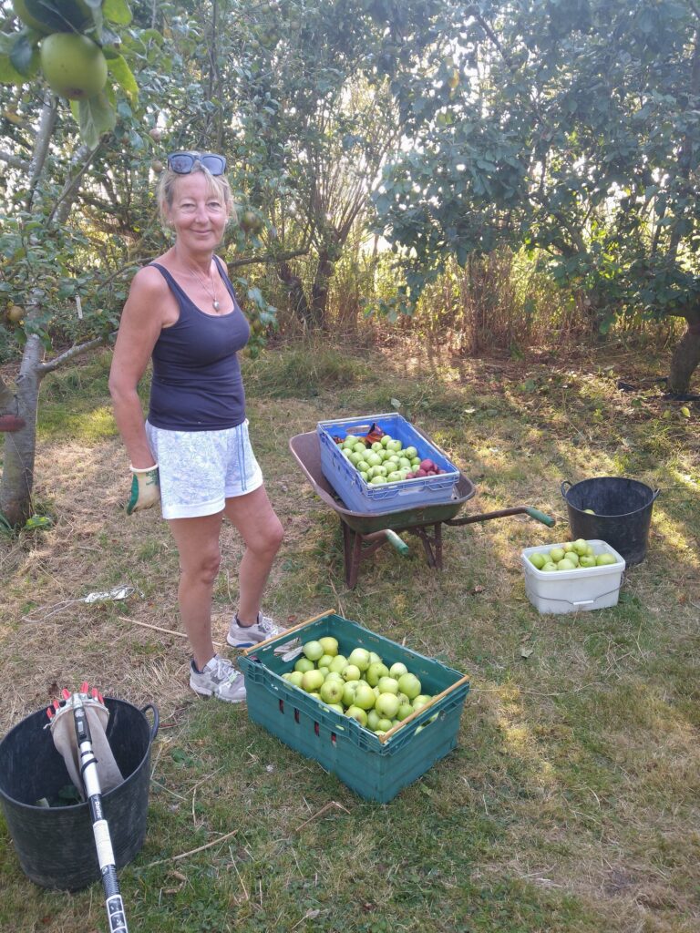 picking