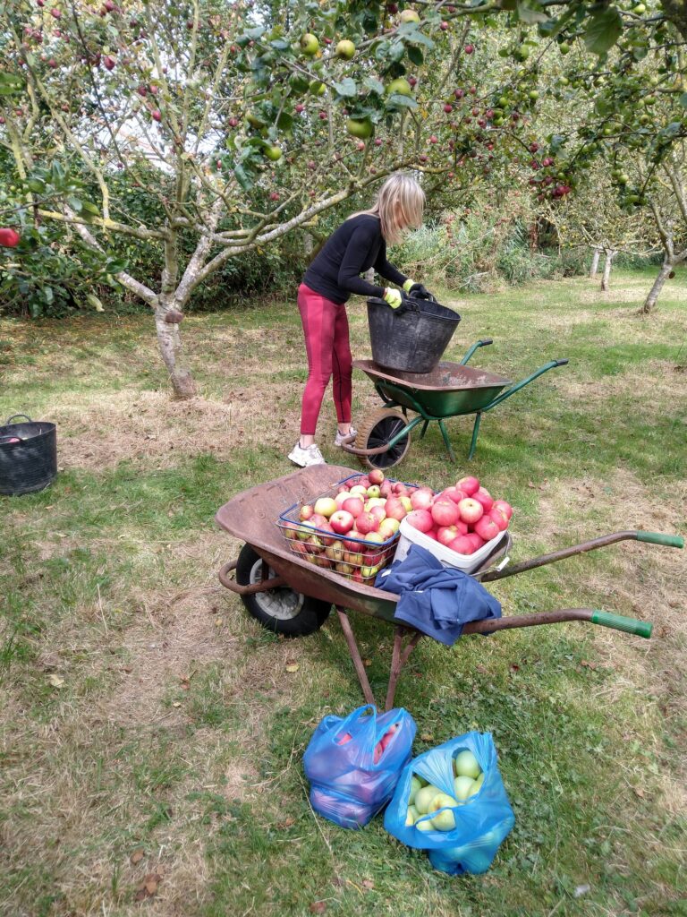 Picking