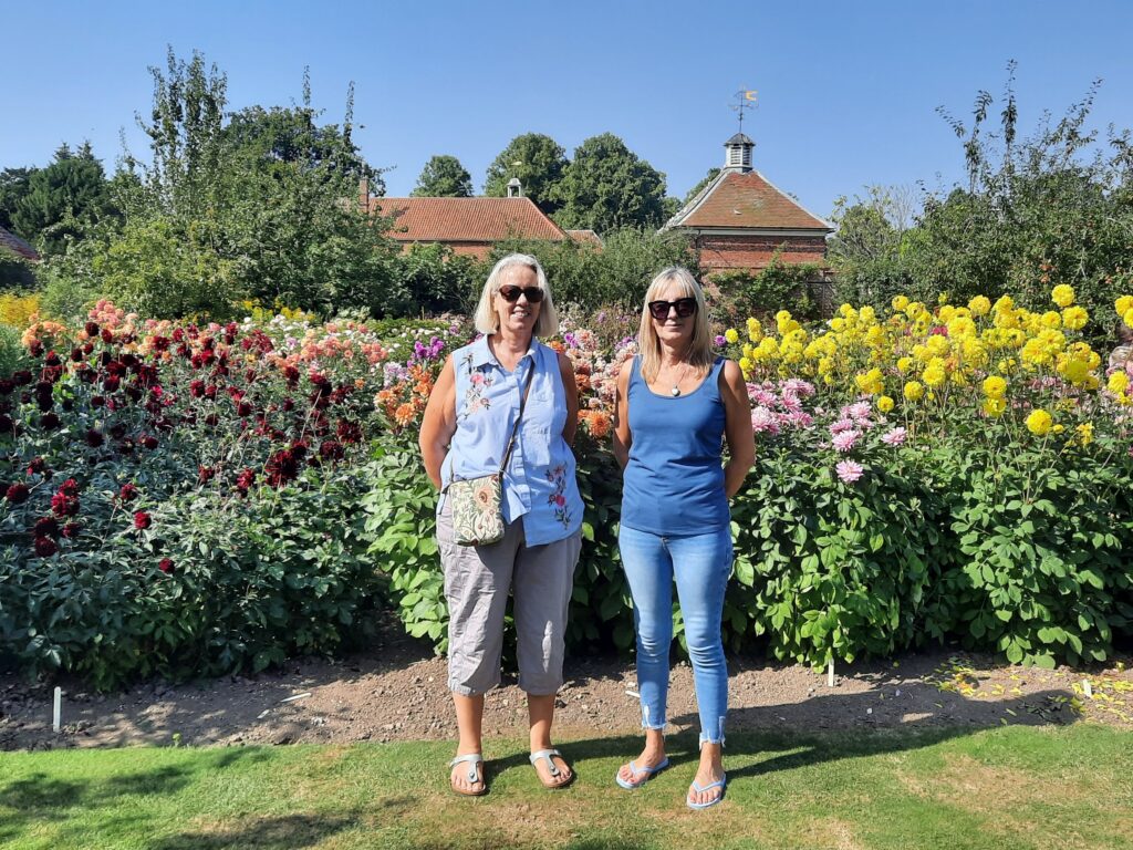 Dahlias, Gunby