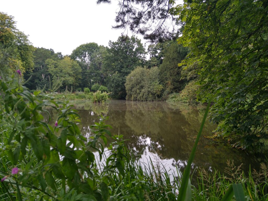 Lake, Gunby