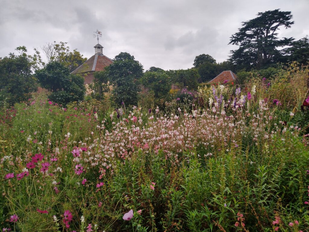 Late Summer border