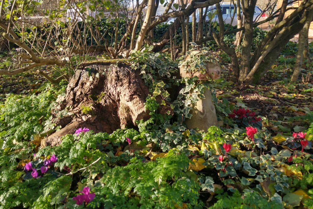 Woodland stumpery