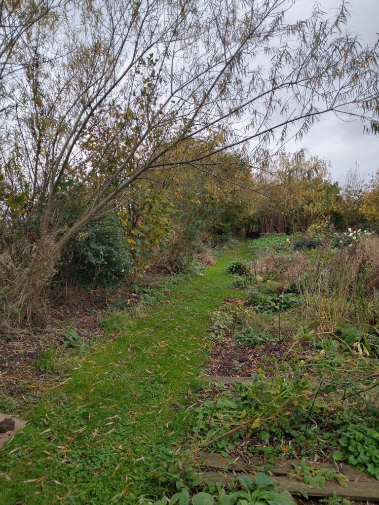 Long border