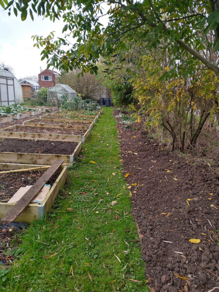 tidied border