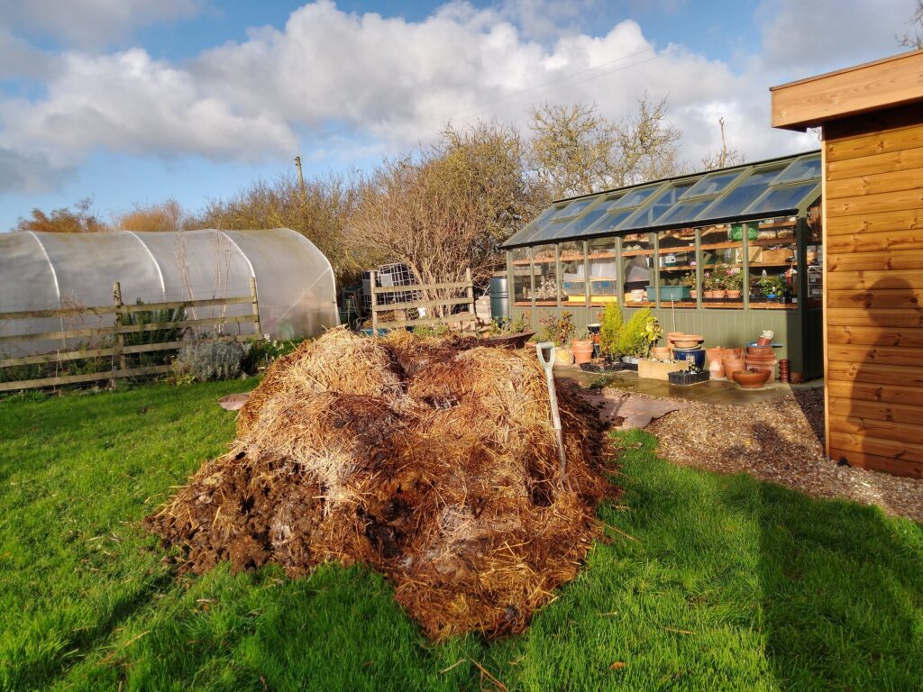 Horse muck