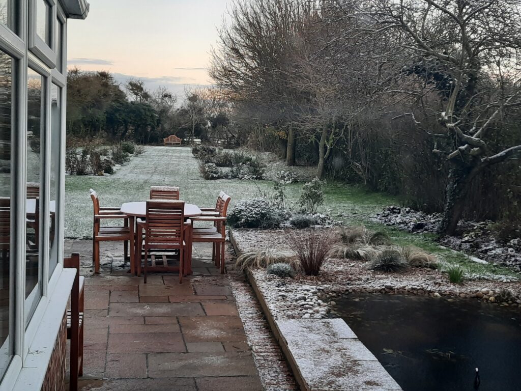 Wintery back garden